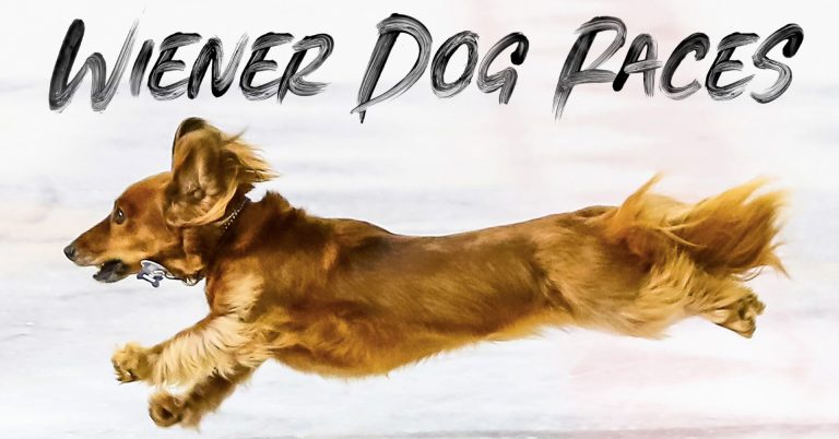 Knoxville Ice Bears Wiener Dog Races